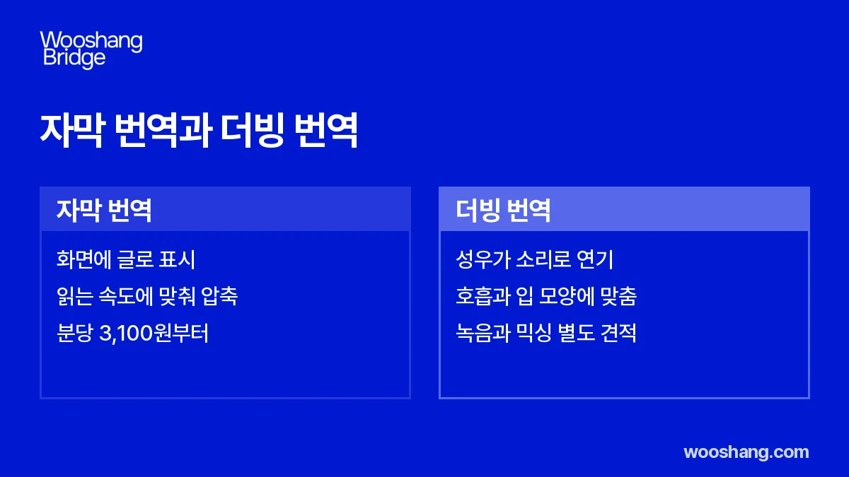 자막 번역과 더빙 번역 비교